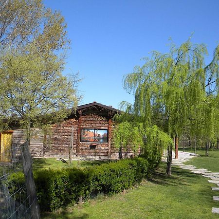 Cascina Beneficio Villa Castelnuovo Bormida Buitenkant foto