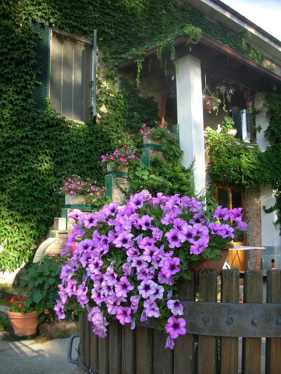 Cascina Beneficio Villa Castelnuovo Bormida Buitenkant foto